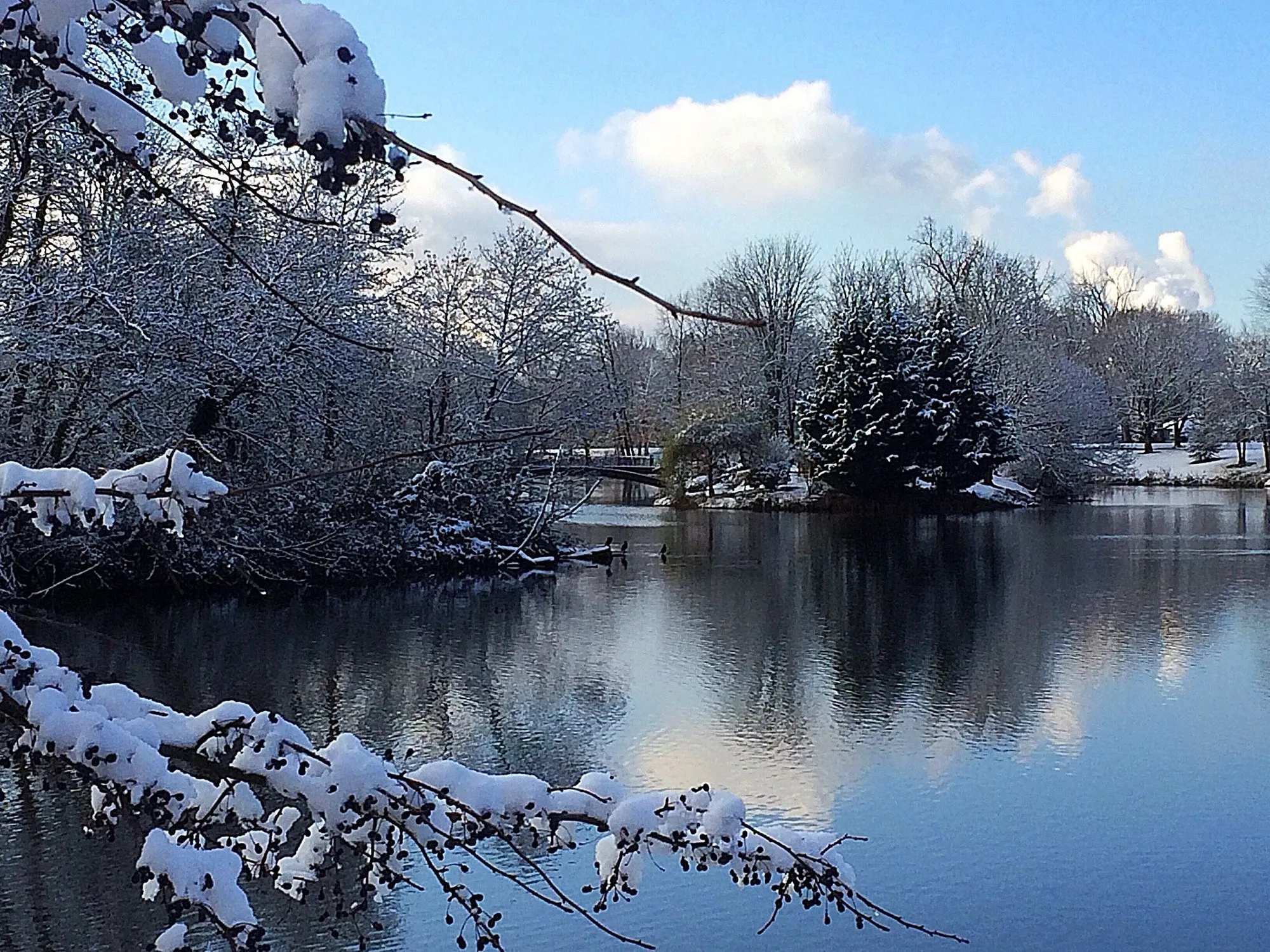 Snow-covered trees beside Lake Sacajawea in winter